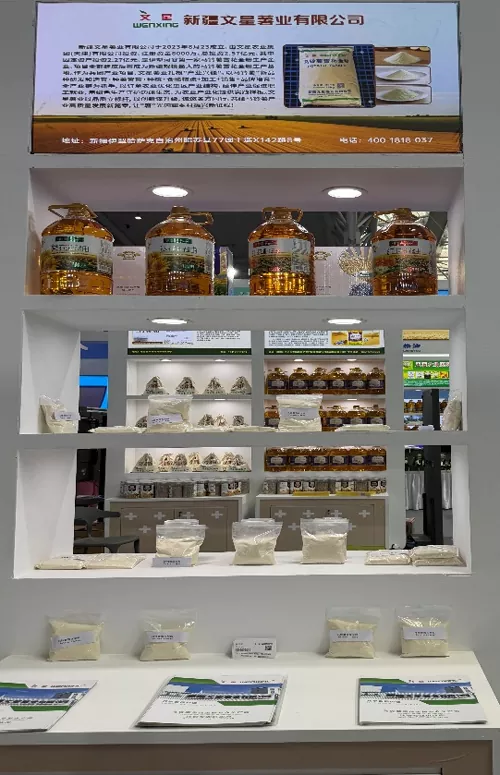 Hoe toont Xinjiang Wenxing zijn volledige voordelen van de industriële aardappelketen op de 9e China-Eurasia Expo?